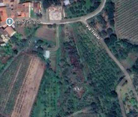 Foto Terreno agricolo in affitto a Teano