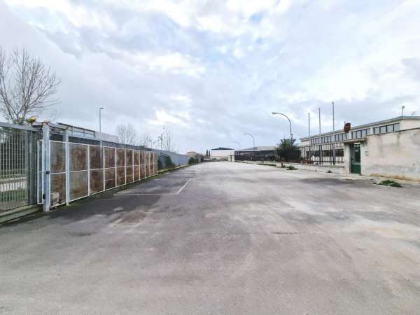 Foto Terreno edificabile residenziale in affitto a Firenze