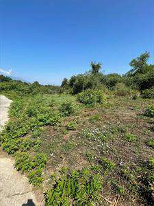 Foto Terreno in Affitto, 1 Locale, 13000 mq, Ceccano
