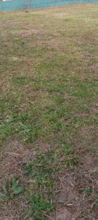 Foto Terreno Pianeggiante Fronte strada