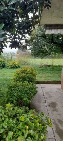 Foto tre locali con giardino in affitto