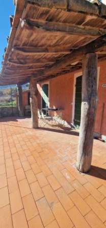 Foto Trilocale in affitto a Ameglia