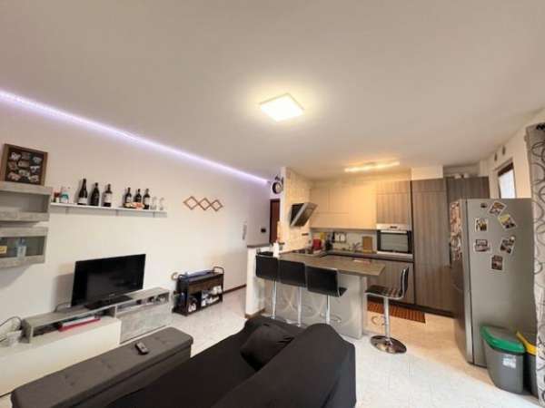 Foto Trilocale in affitto a Castelnuovo Berardenga