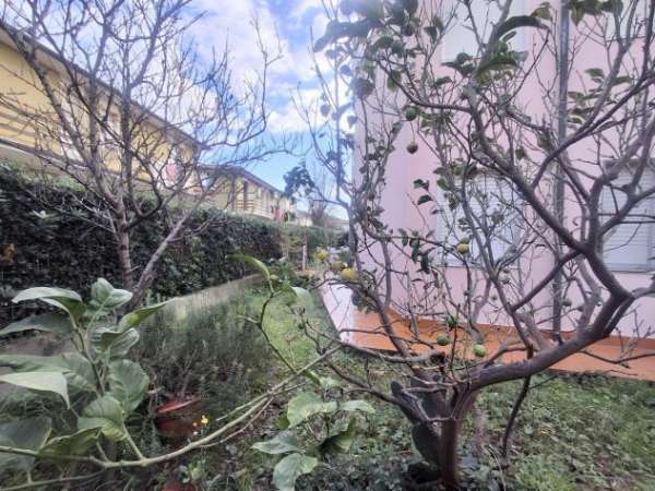 Foto Trilocale in affitto a Cecina