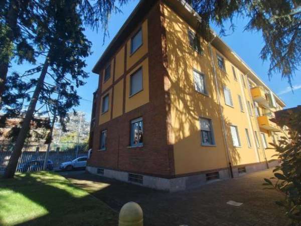 Foto Trilocale in affitto a Gallarate