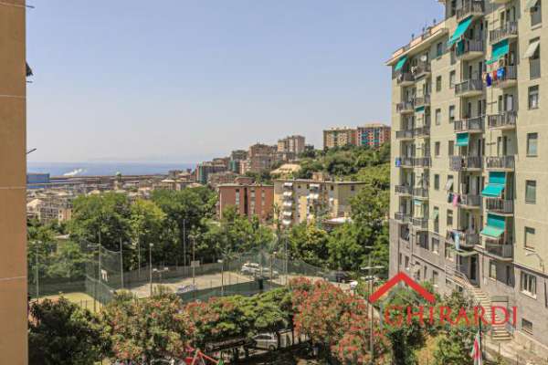 Foto Trilocale in affitto a Genova