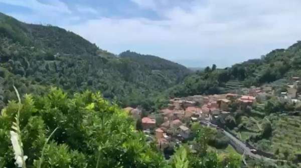 Foto Trilocale in affitto a Massa