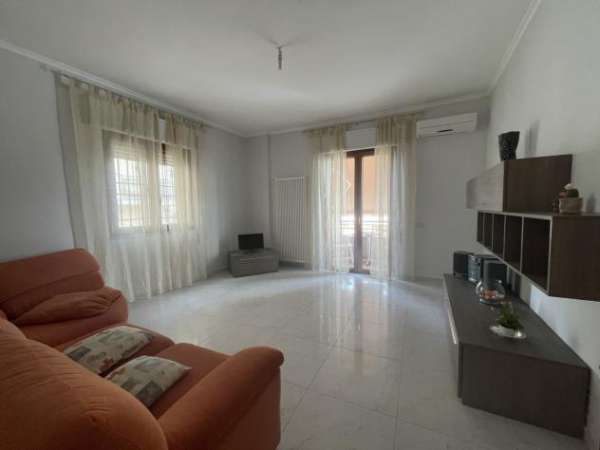 Foto Trilocale in affitto a Nettuno