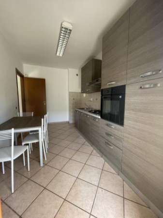 Foto Trilocale in affitto a Nettuno