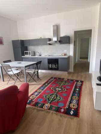 Foto Trilocale in affitto a Novara