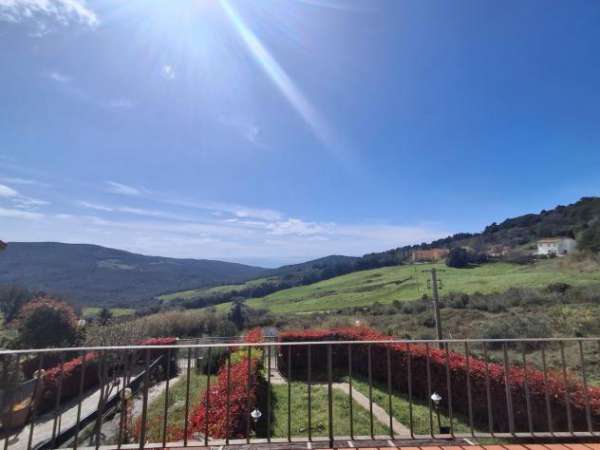 Foto Trilocale in affitto a Rosignano Marittimo