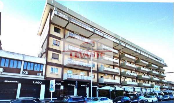 Foto VIALE EINAUDI QUADRIVANI ACCESSORIATO