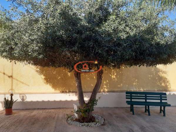 Foto Villa a schiera in affitto a Marsala