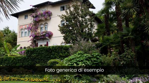 Foto Villa bifamiliare in affitto a Forte Dei Marmi