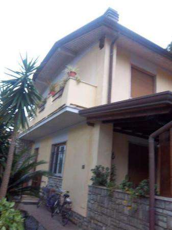 Foto Villa bifamiliare in affitto a Forte Dei Marmi