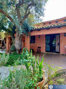 Foto Villa in Affitto, 4 Locali, 130 mq, Siracusa