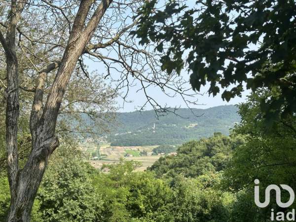 Foto Villa in affitto a Arcugnano