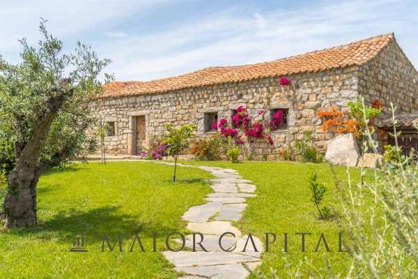 Foto Villa in affitto a Arzachena