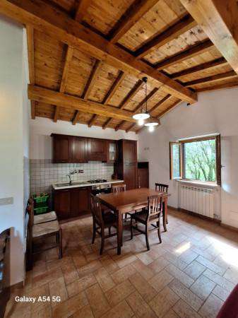 Foto Villa in affitto a Caprarola