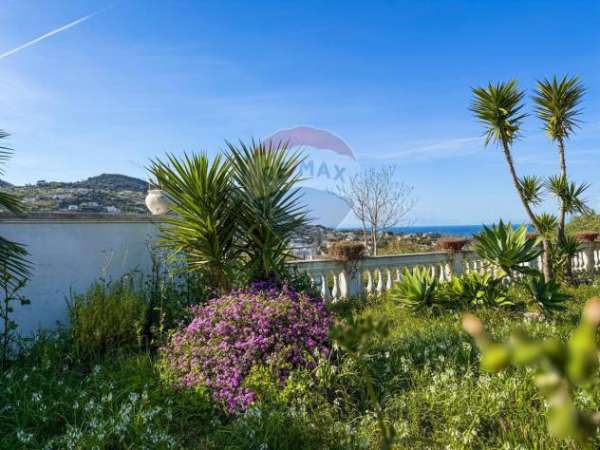 Foto Villa in affitto a Ischia - 7 locali 500mq