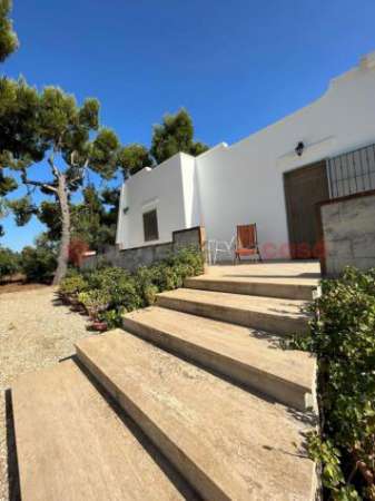 Foto Villa in affitto a Manduria - 110mq