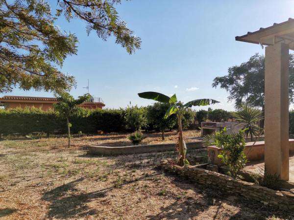 Foto Villa in affitto a Menfi