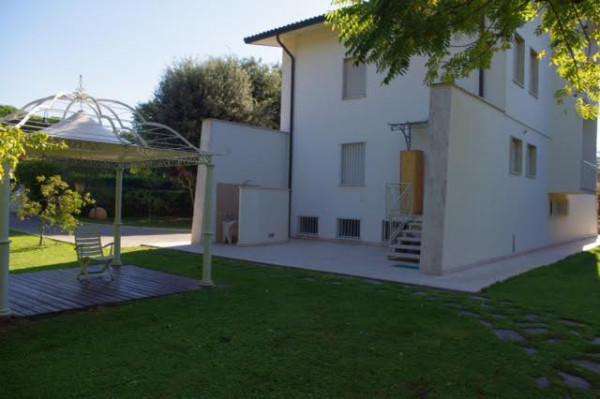 Foto Villa in affitto a Montignoso