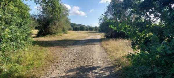 Foto Villa in affitto a Poggio Imperiale - Firenze 200 mq  Rif: 1285038
