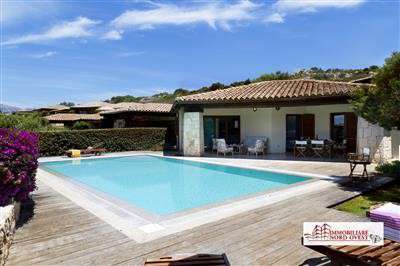 Foto Villa in Affitto a San Teodoro