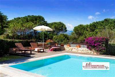 Foto Villa in Affitto a San Teodoro