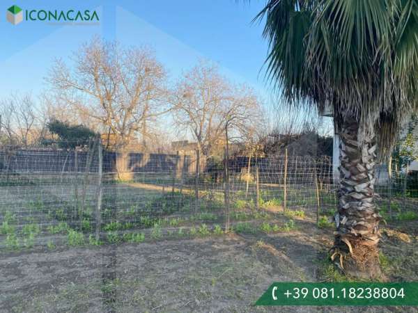 Foto Villa in affitto a Scisciano