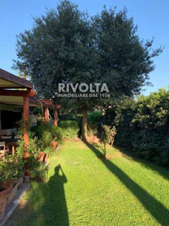 Foto Villa in affitto a Tarquinia