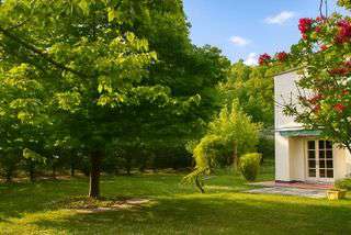 Foto Villa indipendente con grande giardino privato  luminosit  e privacy nel Roero