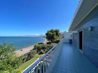 Foto Villa o villino in Affitto, 6 Locali, 350 mq (Casteldaccia)