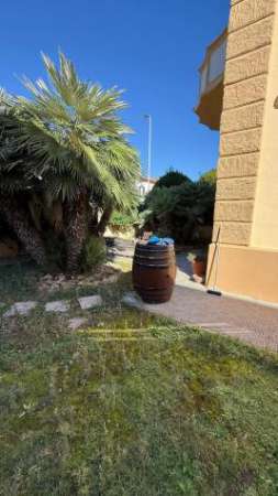 Foto Villetta a schiera angolare in affitto a Livorno 250 mq  Rif: 1361967