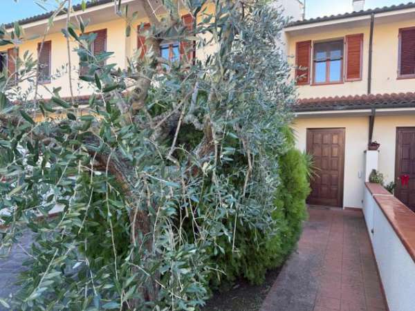 Foto Villetta a schiera in affitto a Cascina 120 mq  Rif: 1383764