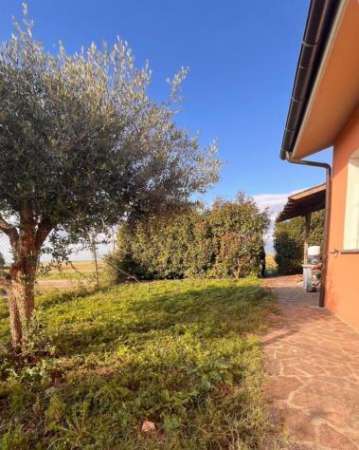 Foto Villetta a schiera in affitto a Coltano - Pisa 80 mq  Rif: 1361592