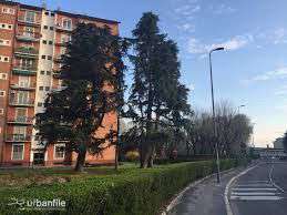 Foto VILLETTA A SCHIERA IN ZONA FORLANINI