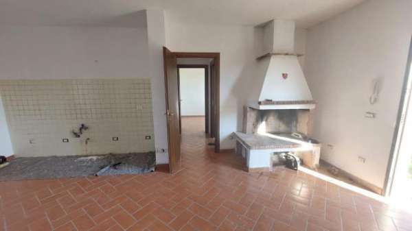 Foto Villetta bifamiliare in affitto a Coltano - Pisa 70 mq  Rif: 1325599