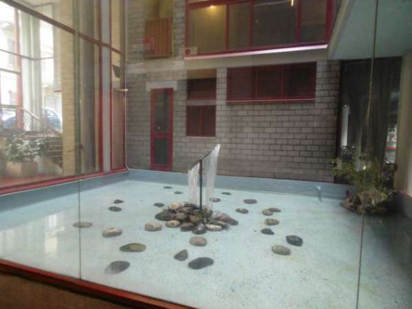 Foto Zona Facolt  di Medicina , Fisica , Chimica , Farmacia , Ospedale Molinette