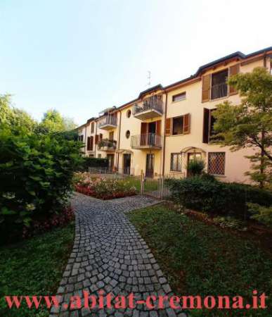 Foto Zona Museo Violino