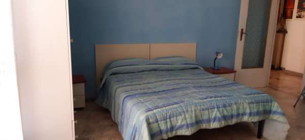 Foto Zona stadio / Ampia camera singola arredata euro 230